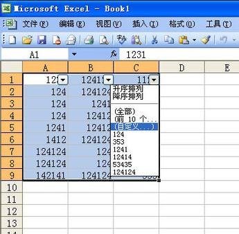 excel2003ɸѡܵʹ÷