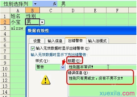 Excel 6