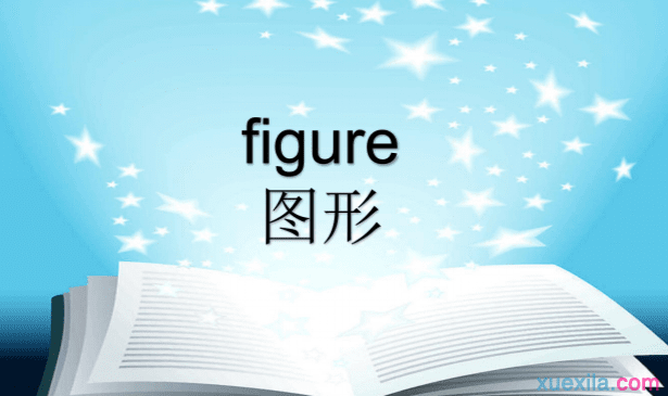 figureʲô˼