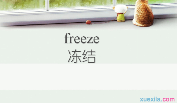 freeze