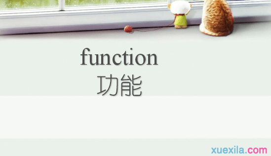 functionʲô˼